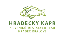 Hradecký kapr