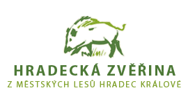 Hradecká zvěřina